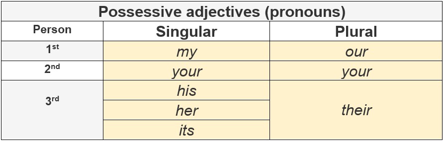 Possessive Adjectives (pronouns) by AtReks
